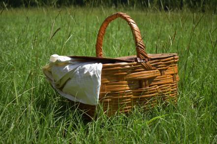 picnic-5421516_1920.jpg